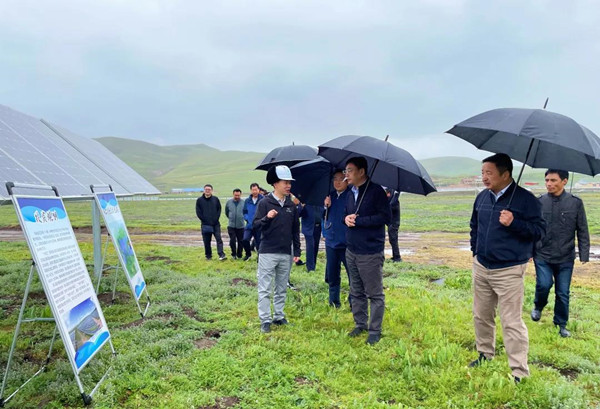 乐鱼体育官网app下载-被新能源遗留的动植物们，还好吗？